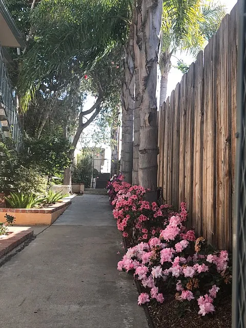 2 bed, 750 sqft, $2,500 — Photo 3
