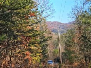 41 Pine Ridge Trl, Mineral Bluff, GA 30559