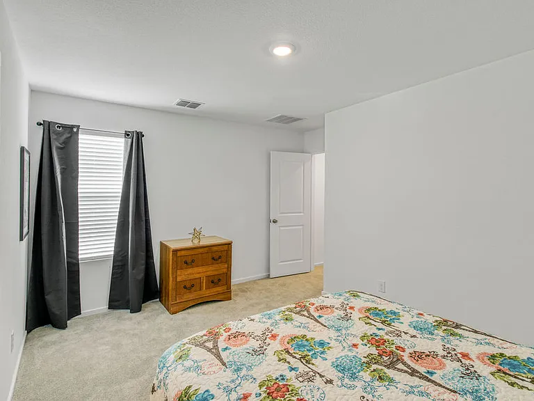 717 Sandhill Crane Ln — Photo 19