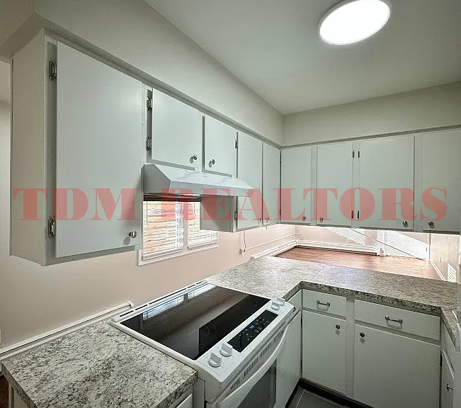 302 E Clinton St #4 — Photo 4