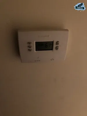 Rented by Fifth & Forever LLC | media 11