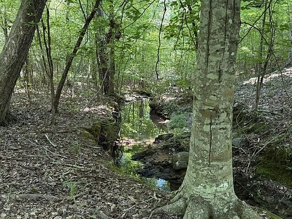 4th image of Howard Neal Rd
