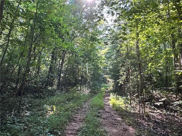 0 Fire Mountain Rd, Cedartown, GA 30125