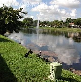 5th image of 14251 Kendale Lakes Cir