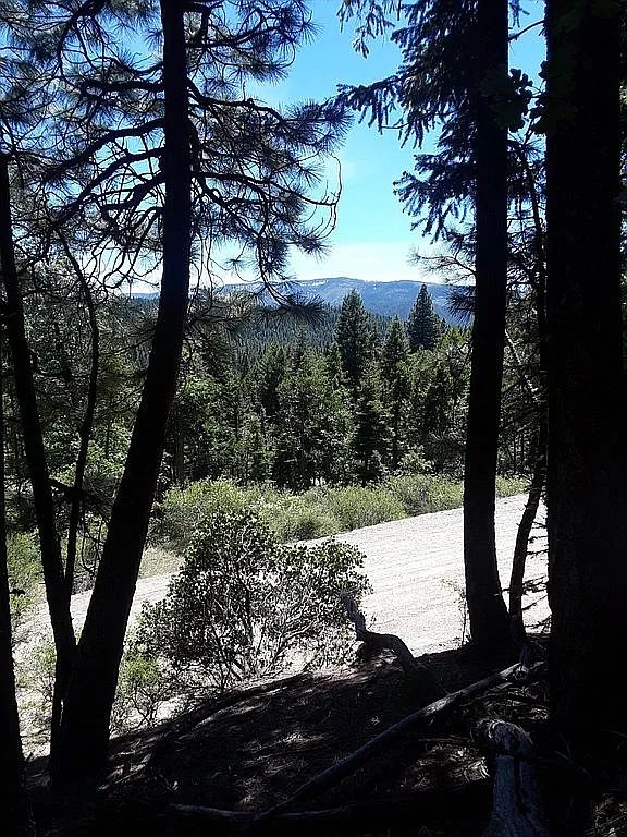 2480 Sugar Pine Trl photo 1