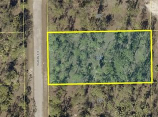 2310 Truman Ave, Alva, FL 33920