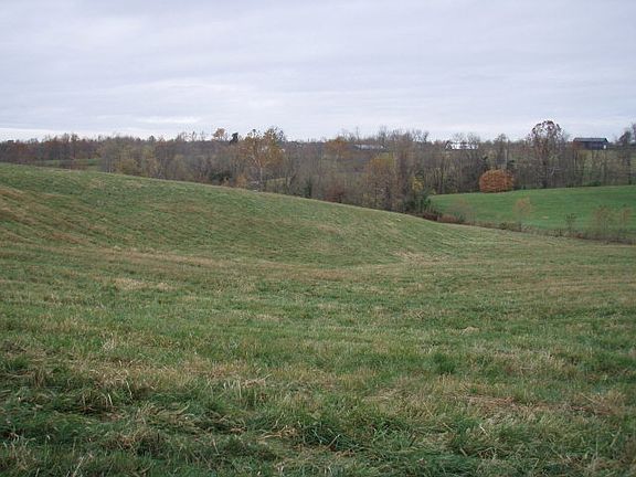 4th image of 715 Mule Shed Ln