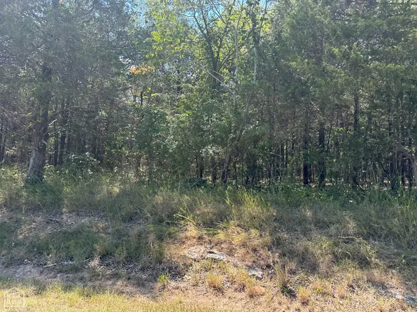11360 Highway 125 N, Peel, AR 72668