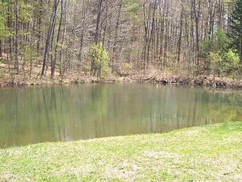 2nd image of 3548 BOYHAVEN Road