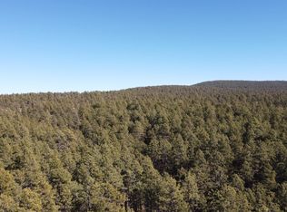 LOT-33B McGaffey Pnes, Fort Wingate, NM 87316