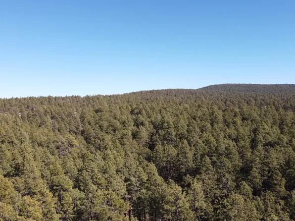 LOT-33B McGaffey Pnes, Fort Wingate, NM 87316