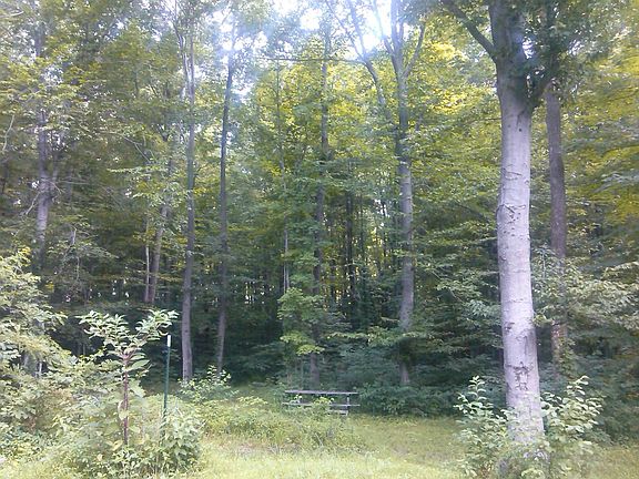 3rd image of 6496 Flint Trail Dr