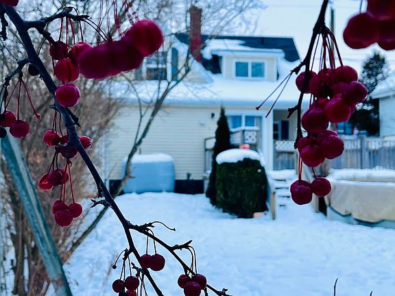 3rd image of 77 Russell St