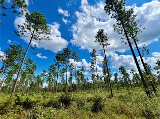 0 Shepard House Rd, Mount Vernon, AL 36560