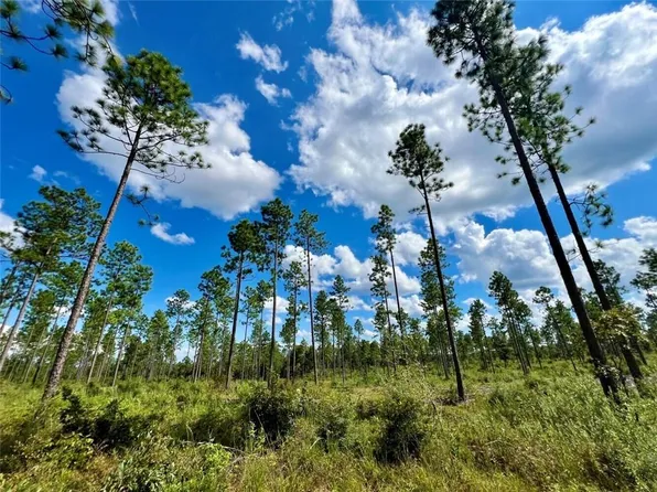 0 Shepard House Rd, Mount Vernon, AL 36560