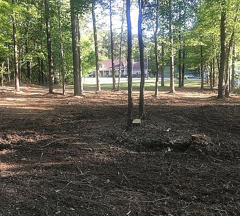 4th image of Woodland Dr #17