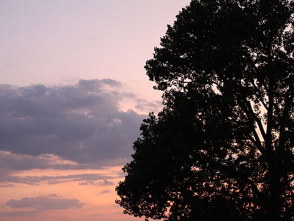 Backyard Sunset