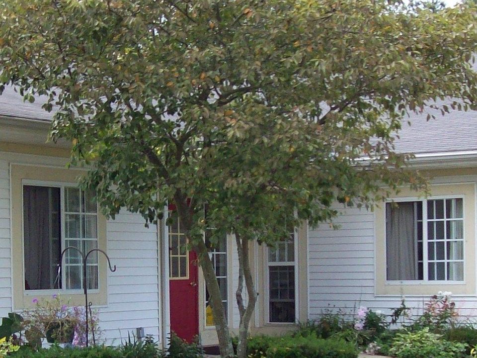 2nd image of 1018 Reed St #Rbvce5xm2