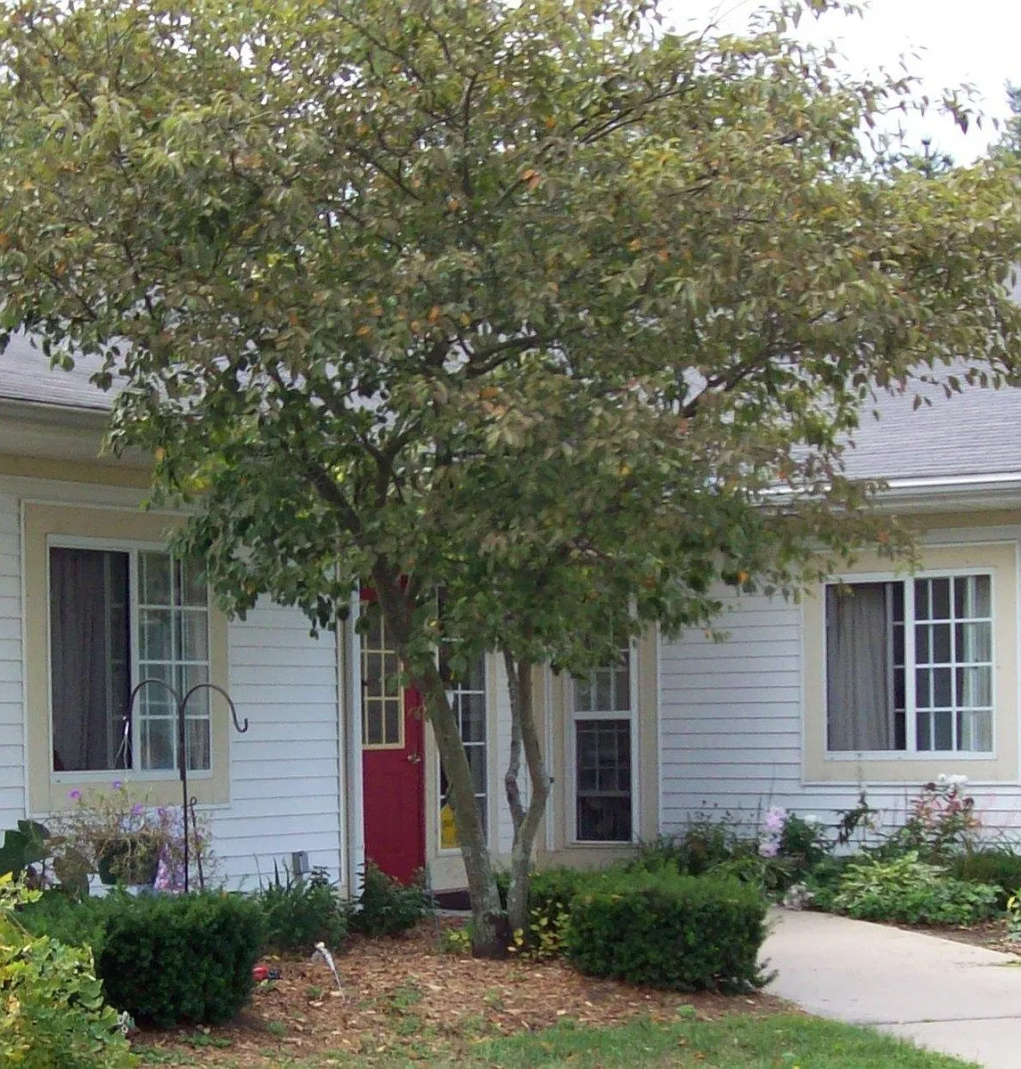 Building Photo - 1018 Reed St
