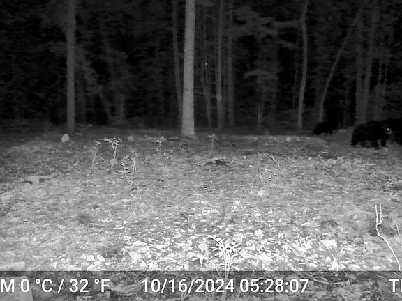 5th image of 873 Burns Rd