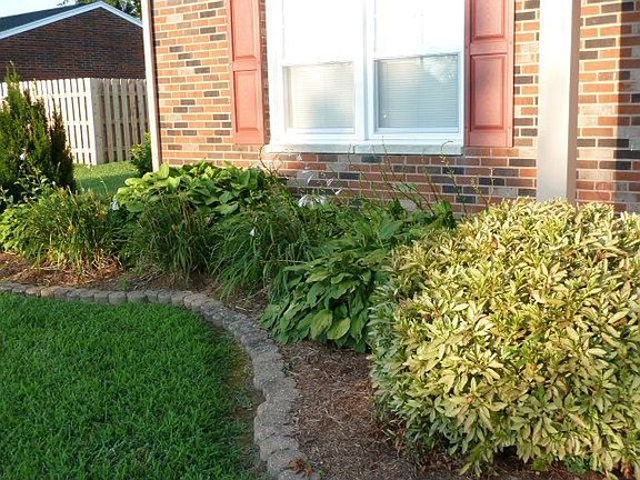 3rd image of 2319 Whirlaway Dr