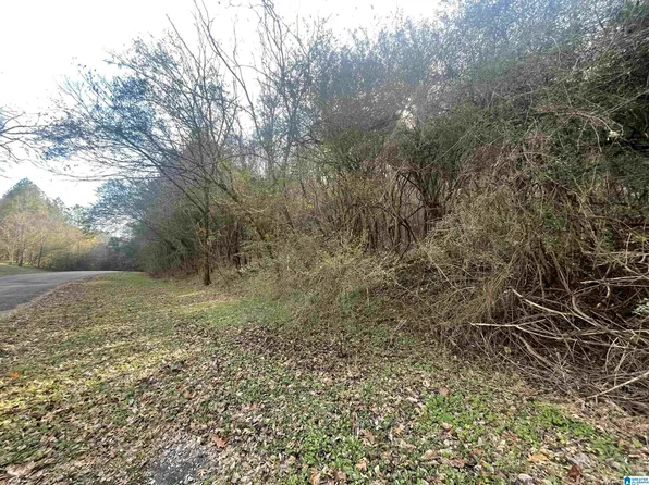 4380 Cherry Ave #4380, Graysville, AL 35073