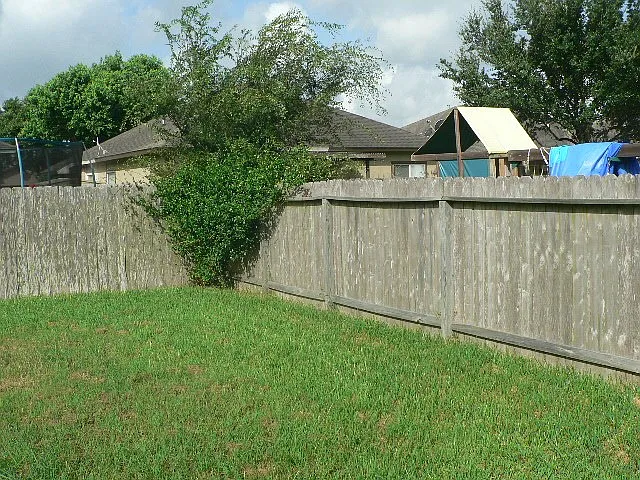 6541 Fenwick Dr — Photo 8