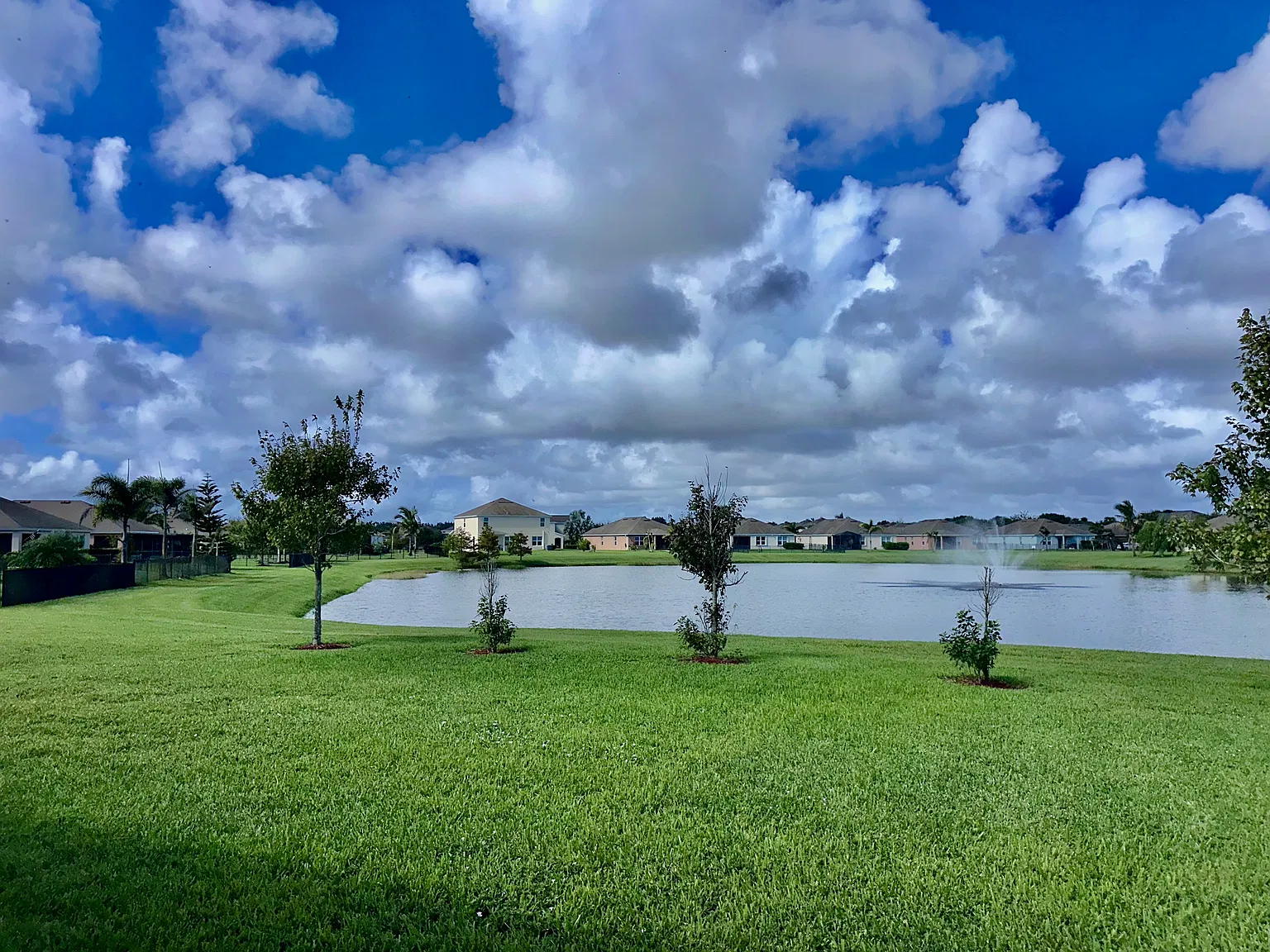 3 bed, 1756 sqft, $2,200 — Photo 4