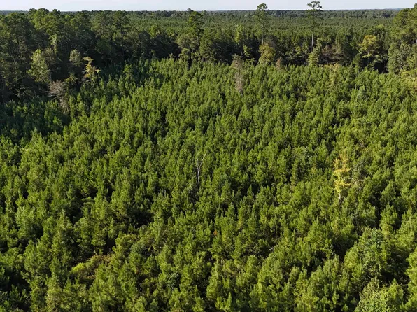 0 Alton Auger Rd, Marion, LA 71260