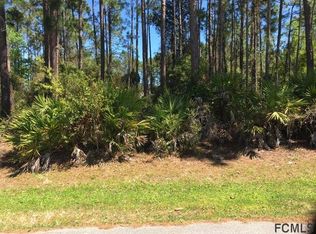 20 Lake Charles Ln, Palm Coast, FL 32137