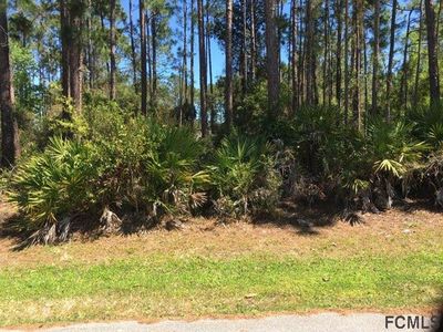 20 Lake Charles Ln, Palm Coast, FL, 32137