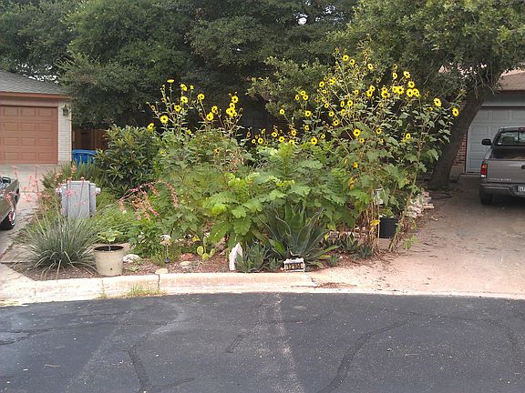 Front - Left of Drive