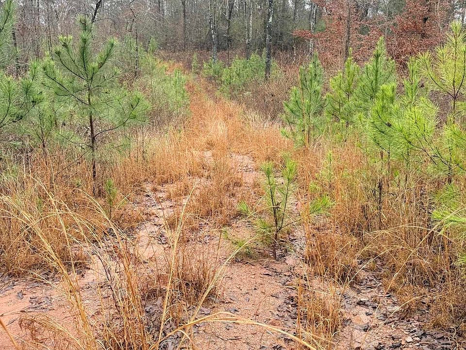 1st image of 0 County Road 472