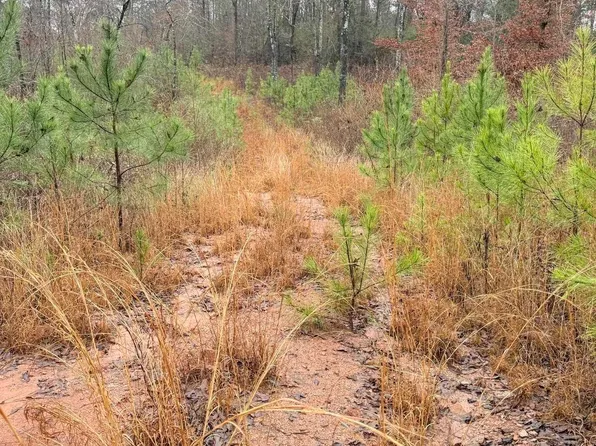 0 County Road 472, Clanton, AL 35046