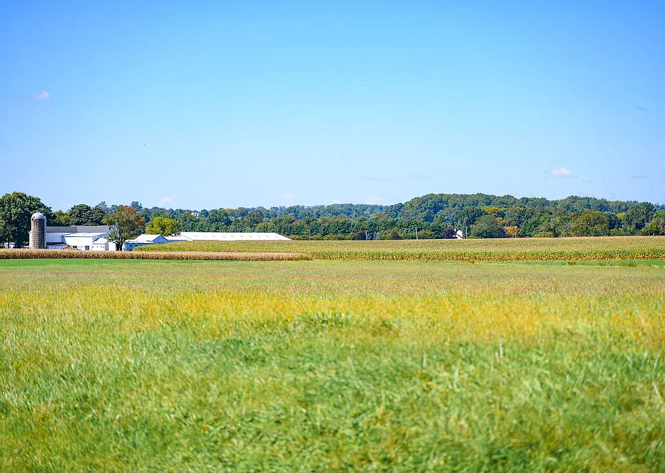 Madison Prickett Preserve