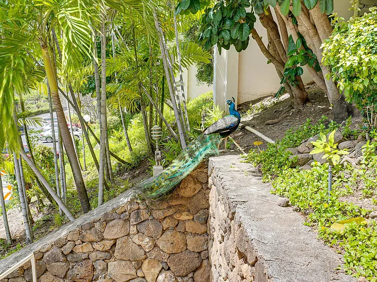 84-770 Kili Dr #MAIN — Photo 17
