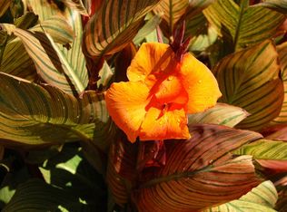 2507 Georgetown Ln, Antioch, CA 94509