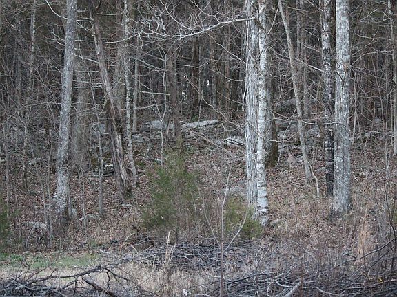 3rd image of 4751 County Road 17