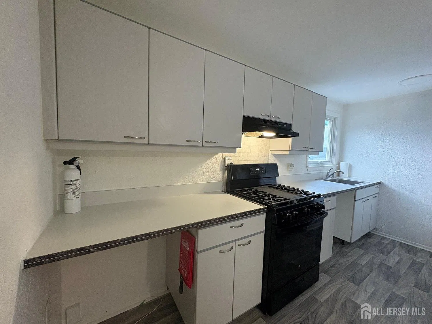 2 bed, 1.0 bath, $2,300 — Photo 4