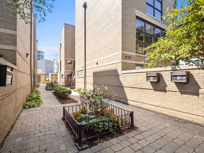 937 W Wrightwood Ave #C, Chicago, IL, 60614