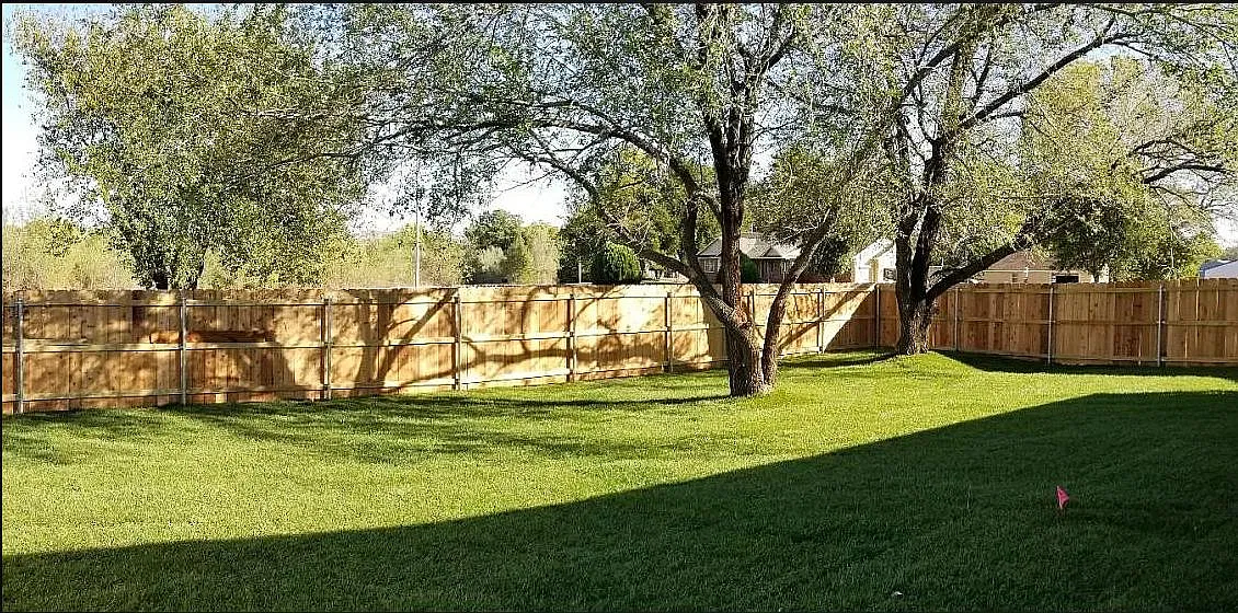 3 bed, 1115 sqft, $1,595 — Photo 2