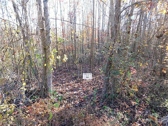 5th image of 0 Billings Hill Church Road 50 #&-51