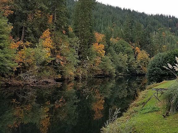 The Millicoma River In Fall