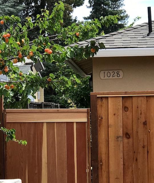 1st image of 1028 Empey Way