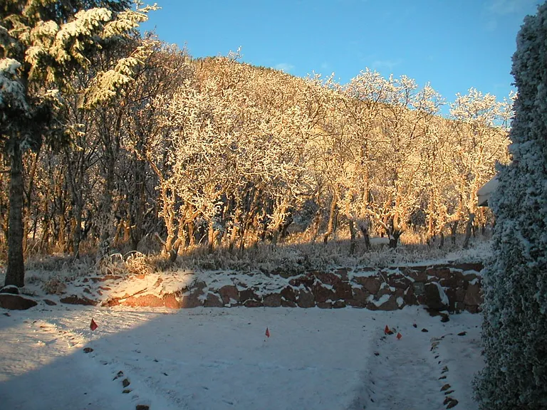 4710 Limestone Rd — Photo 3