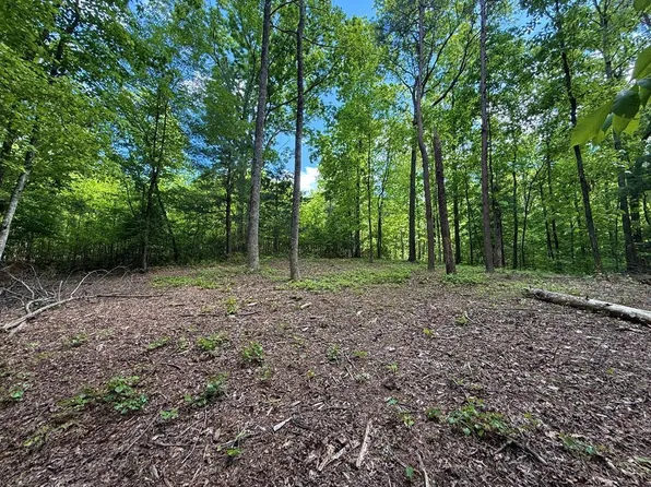 164 Reindeer Ln, Talking Rock, GA 30175