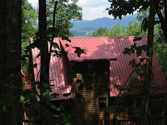 Back View