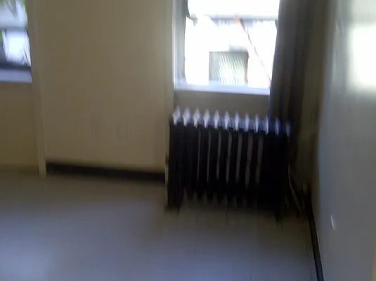 Rented by Niko International Brokerage | media 23