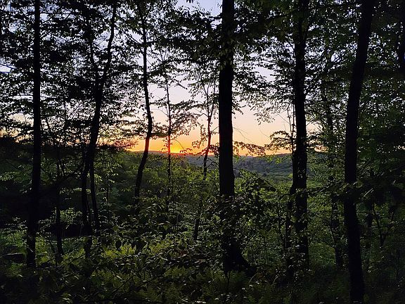 3rd image of 0 Camp Coffman Rd