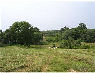 2nd image of 14642 Bethlehem Rd